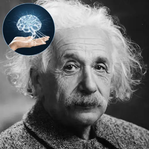 Albert Einstein’s brain